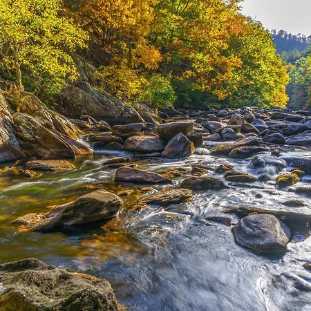 Bear Cub Retreat Διαμέρισμα Gatlinburg Εξωτερικό φωτογραφία